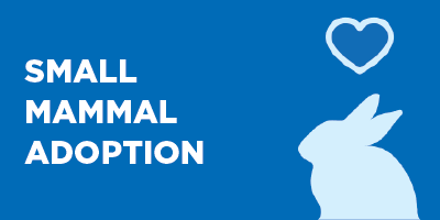 Small mammal adoption button