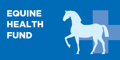 Equine health fund button