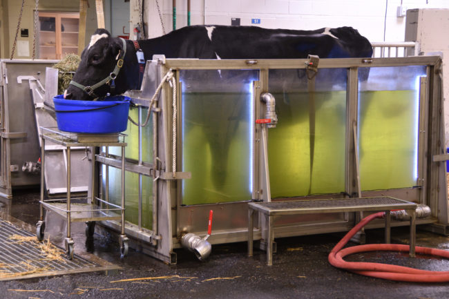 glass pool for flotation therapy