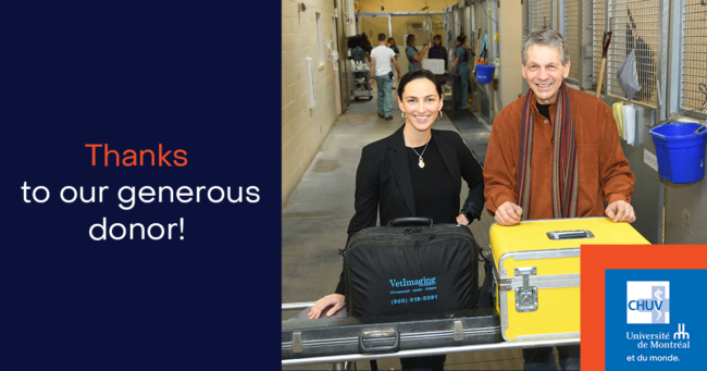 don dr normand joly angl