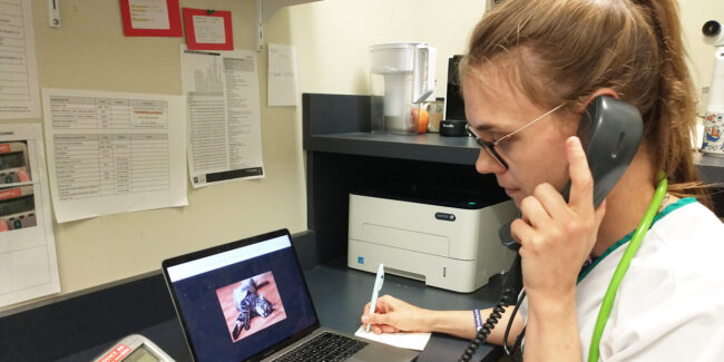 telemedecine-dre-letendre1