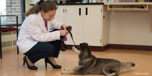 Marion_Desmarchelier_chisasibi1 Marion_Desmarchelier_chisasibi1