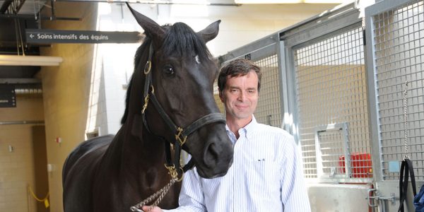 Dr Jean-Pierre Lavoie et un cheval