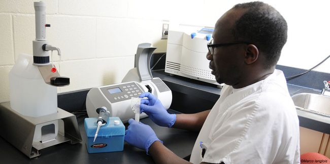 Professeur en thériogénologie qui utilise le nucleo counter