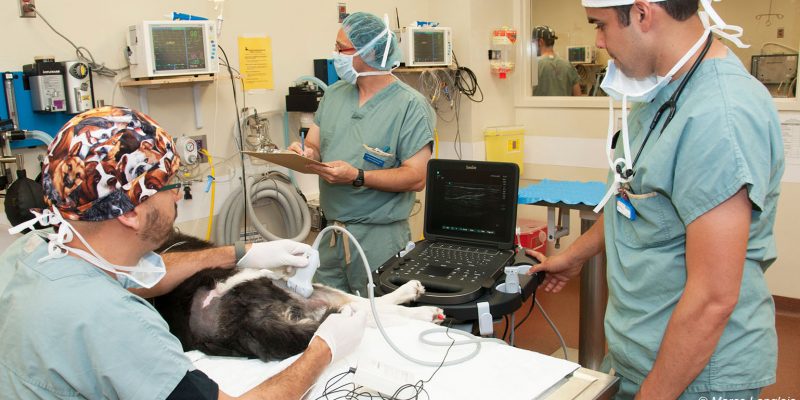 anesthesie locorégionale 1