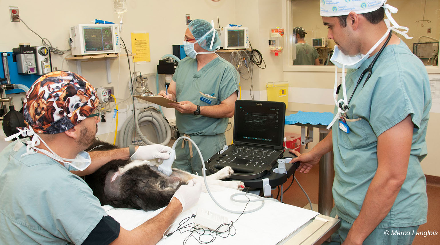 anesthesie locorégionale 1