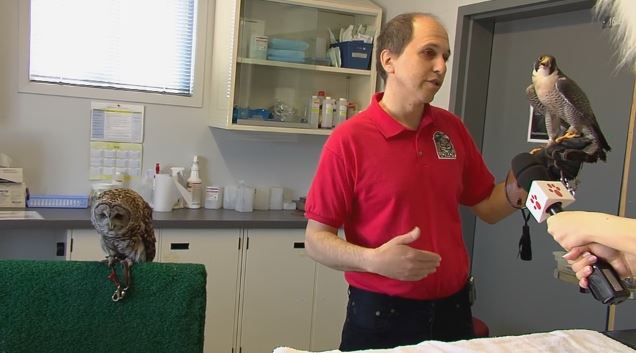 gfitzerald_moppi (1) Dr Guy Fitgerald en tournage