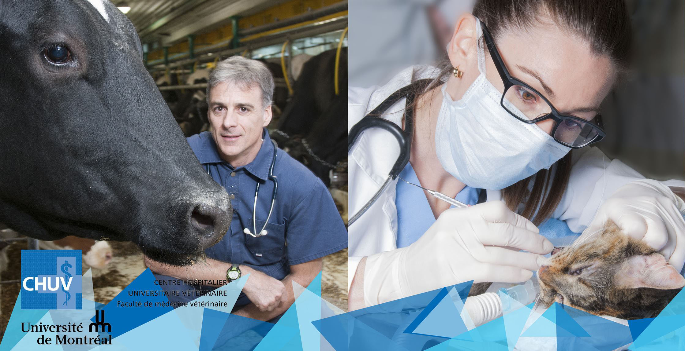 lancement FB Entete Facebook