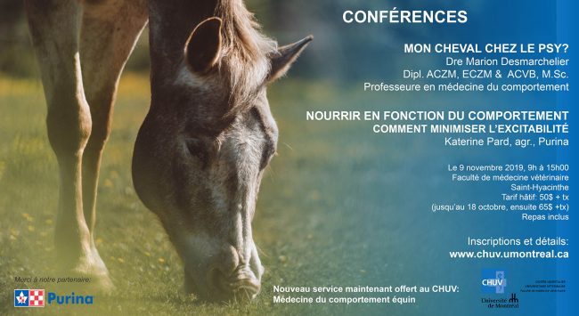 Conférence comportement équin 2