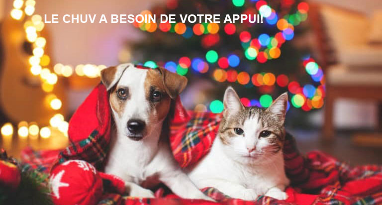 dons chuv APPUI animaux de compagnie, faire un don au CHUV