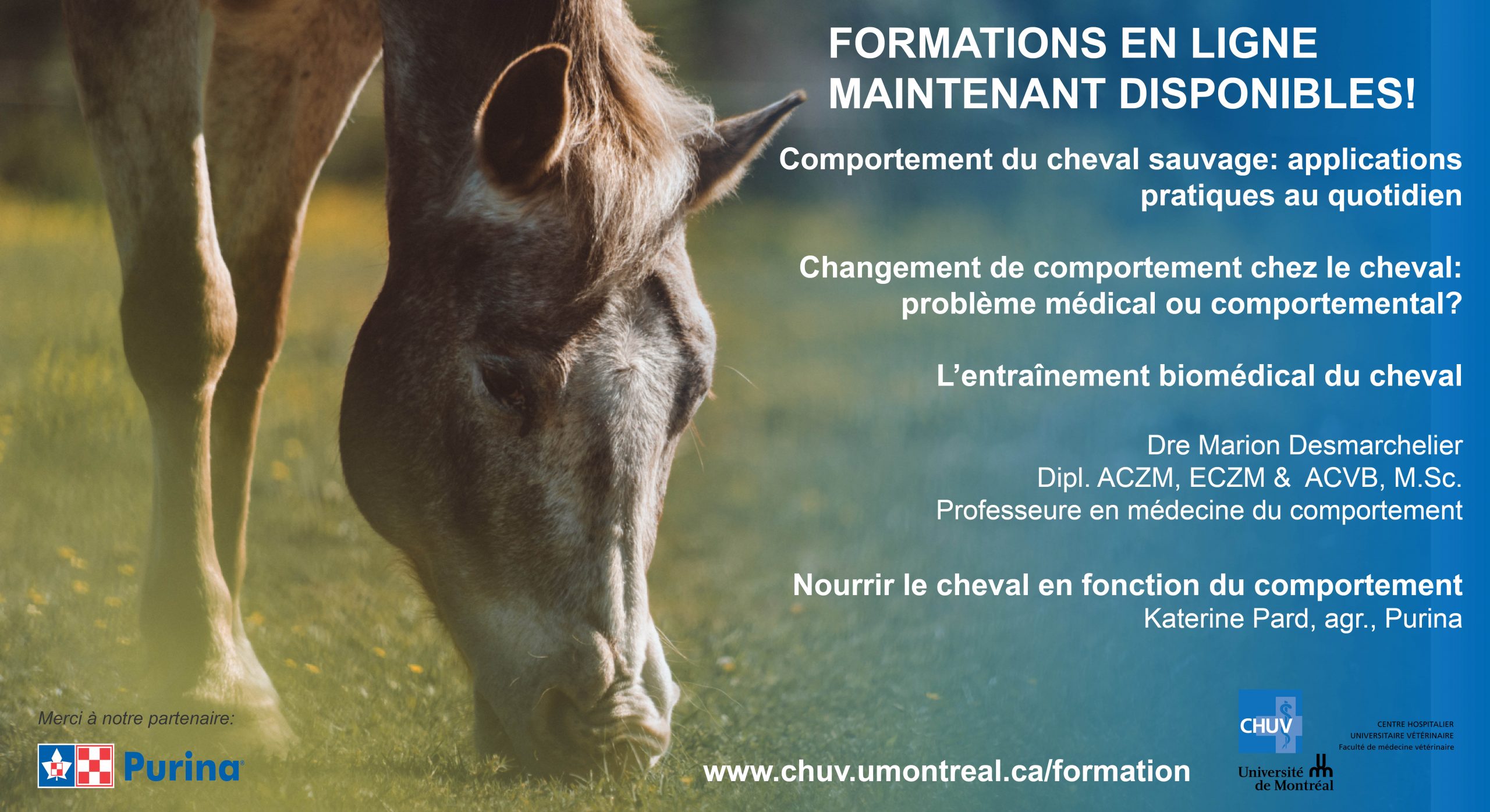FB formations comportement equin1 Formations en ligne en comportement équin