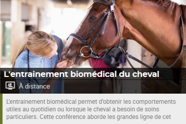 entrainement biomedical cheval