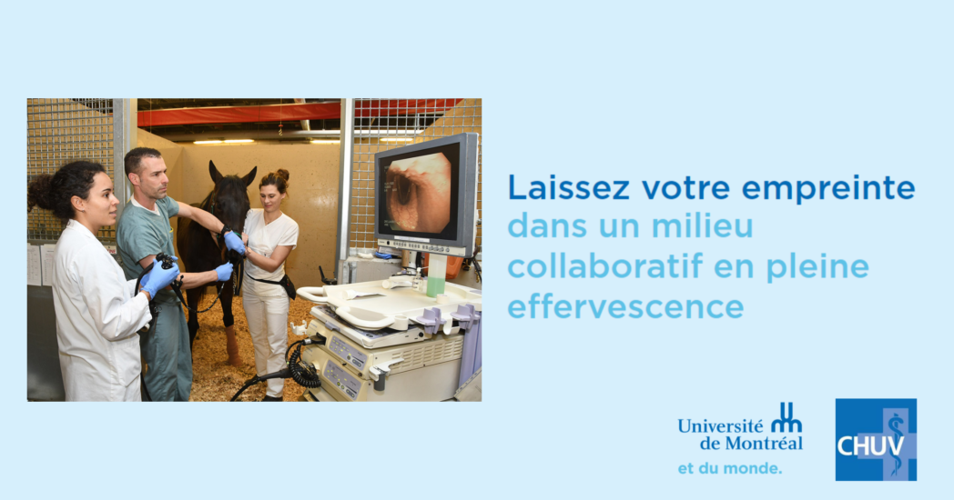 Offre D Emploi Technicien Ne En Sante Animale Equine Centre Hospitalier Universitaire Veterinaire