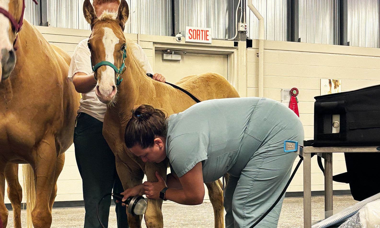 Appareil ondes de choc focales