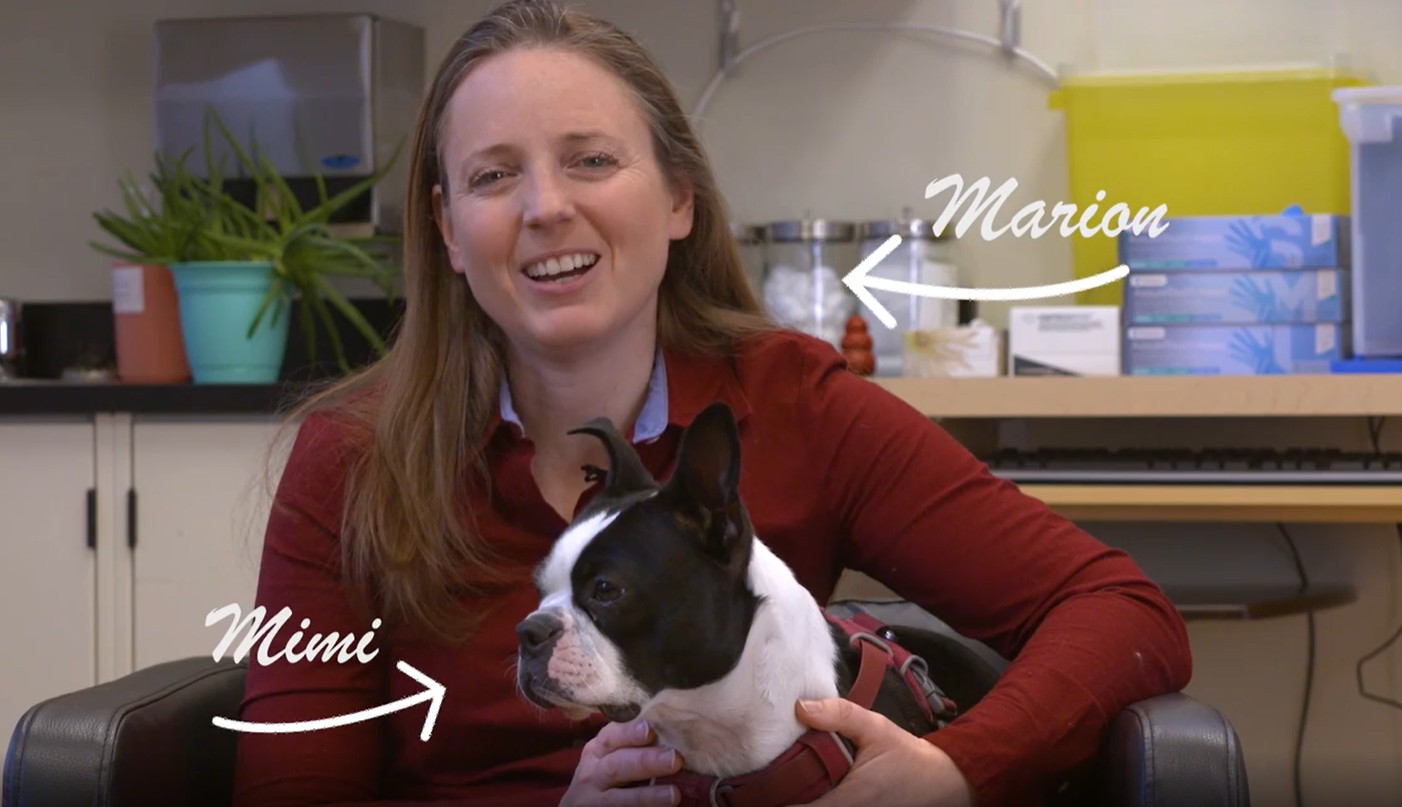 Marion_desmarchelier